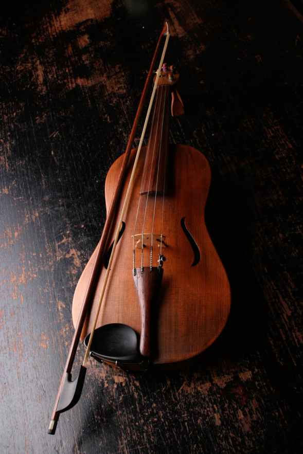violin-musical-instrument-music-sound.jpg