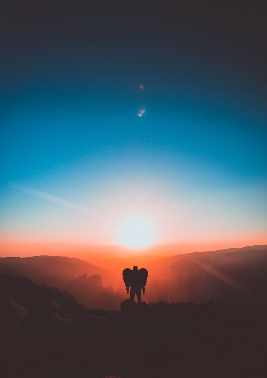 man with wings standing on brown mountain peak