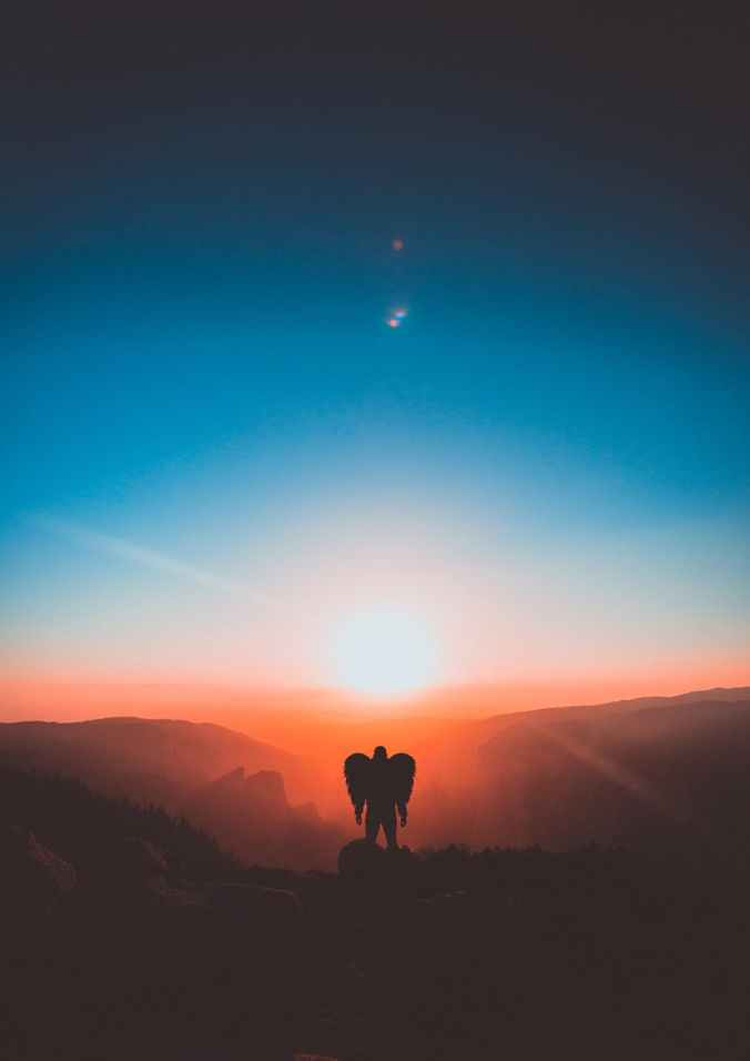 man with wings standing on brown mountain peak