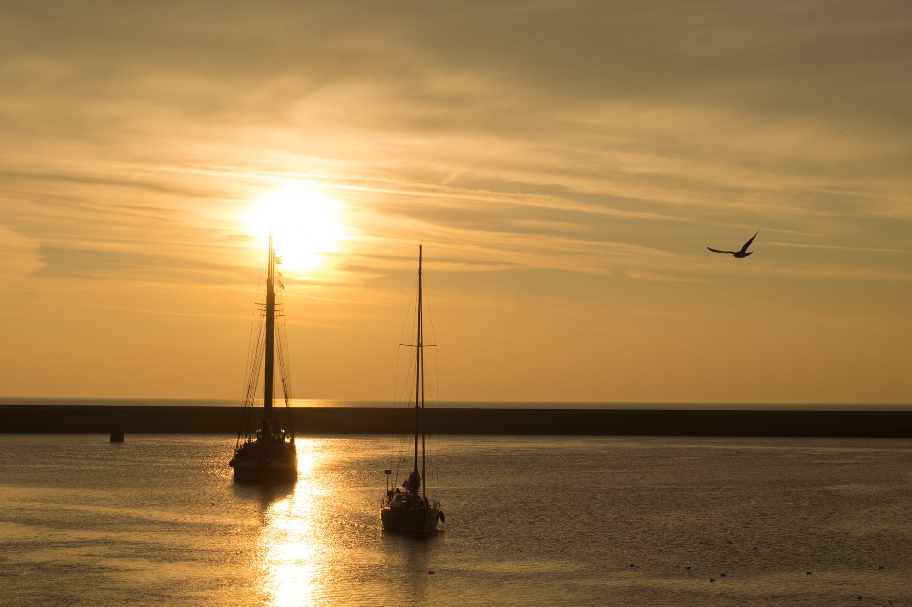 two boat on ocean during golden time